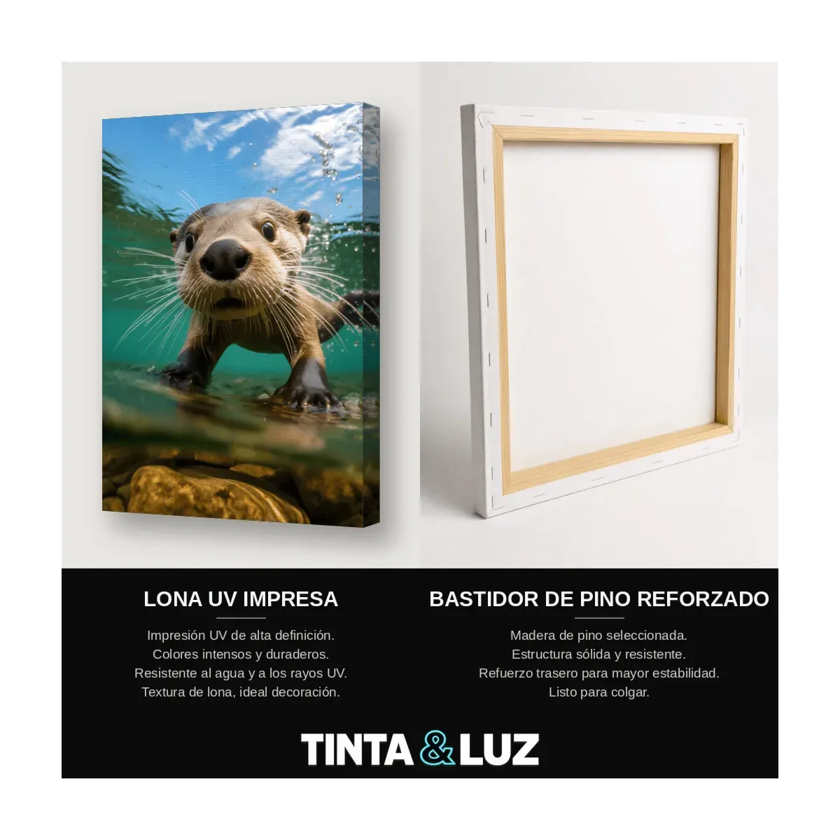 NUTRIA NADANDO