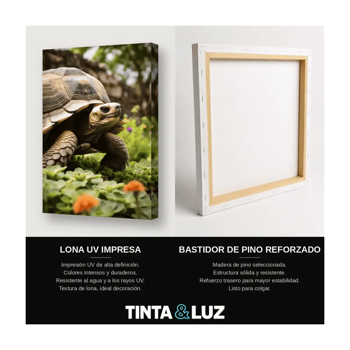 TORTUGA GIGANTE