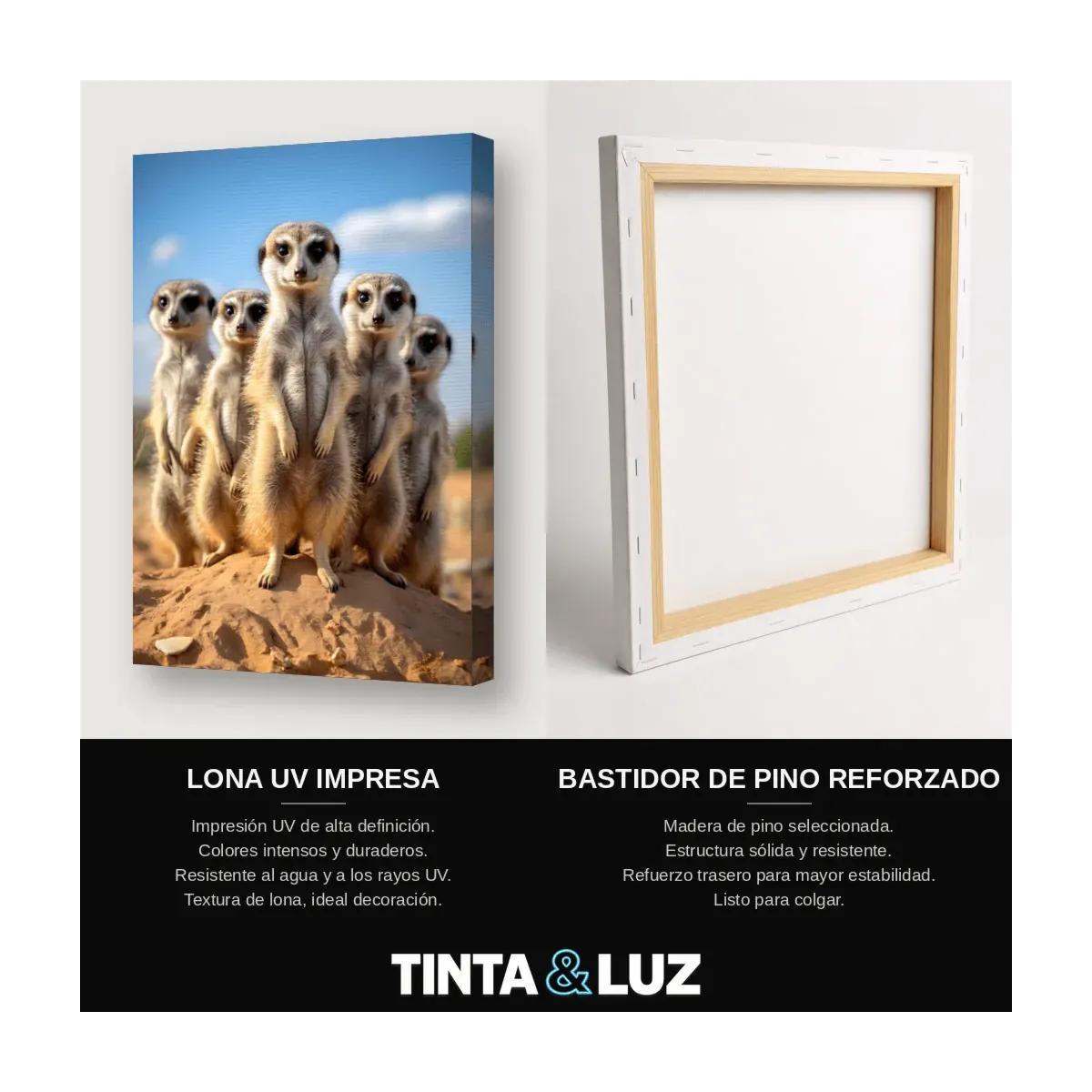 SURICATAS