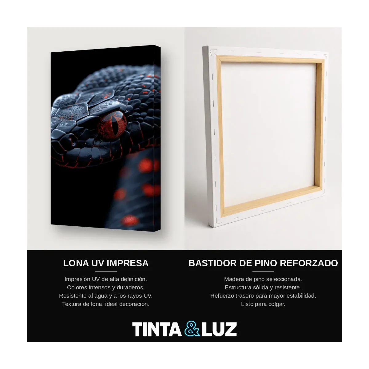 SERPIENTE OSCURA
