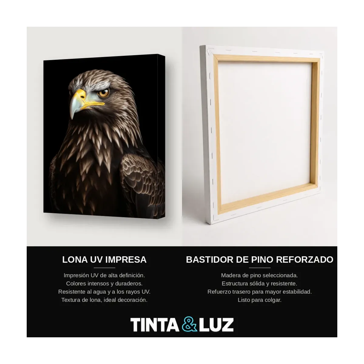 ÁGUILA CALVA