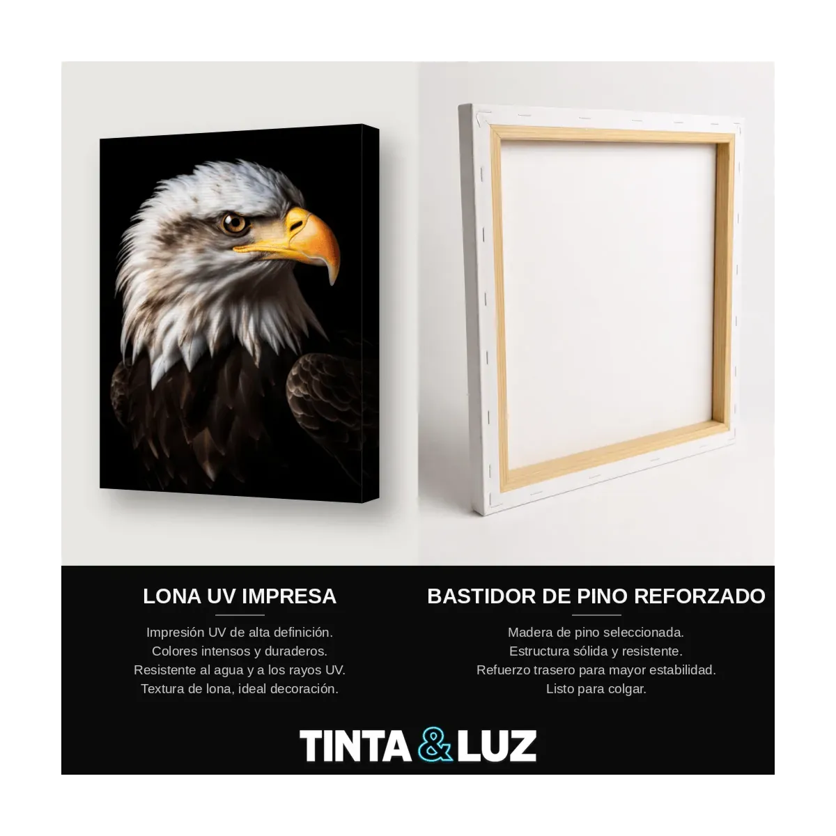 ÁGUILA CALVA PERFIL