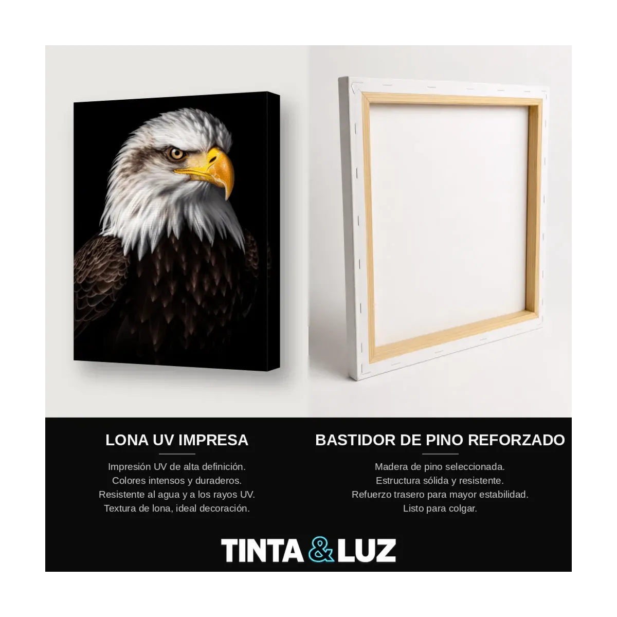 ÁGUILA CALVA II