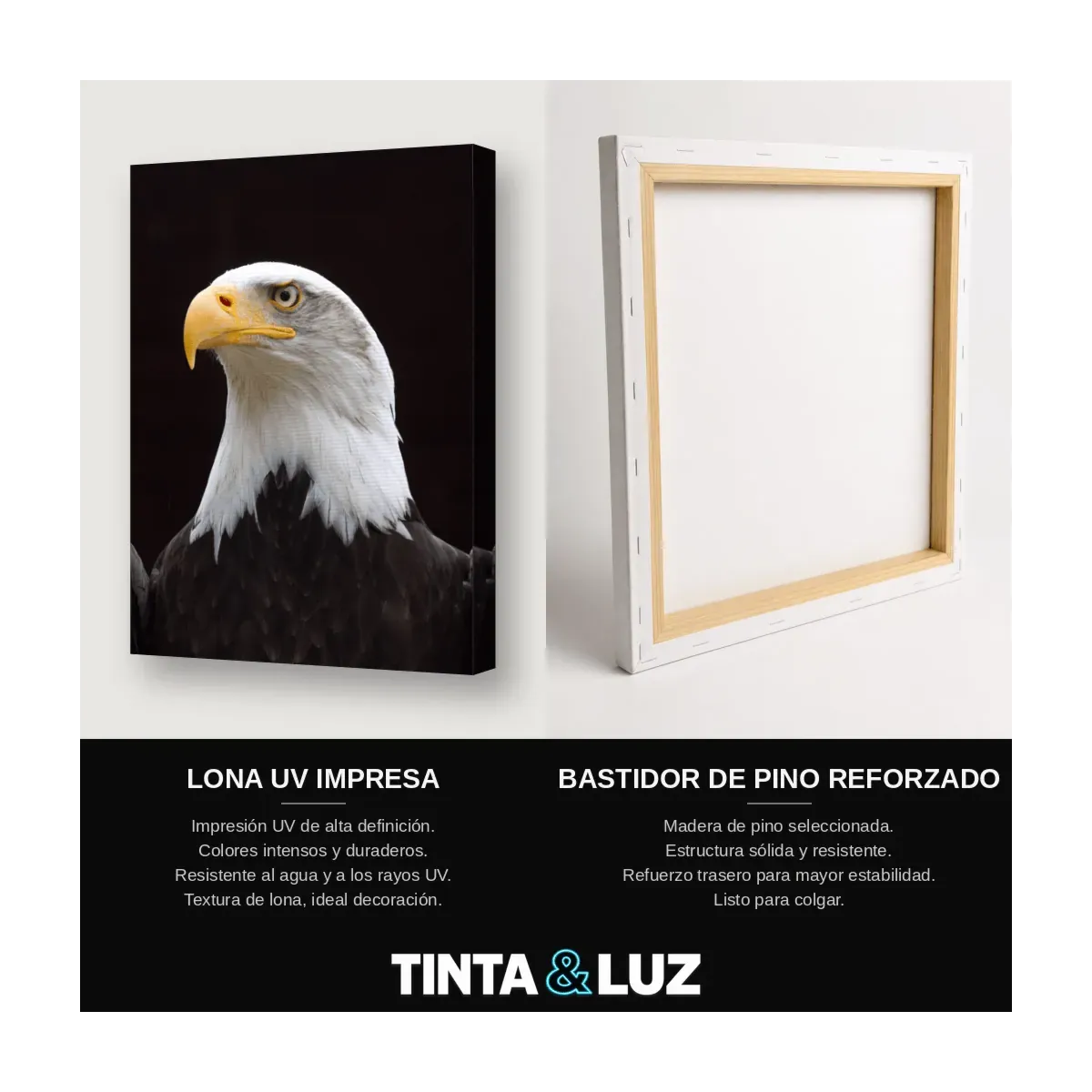 ÁGUILA REAL