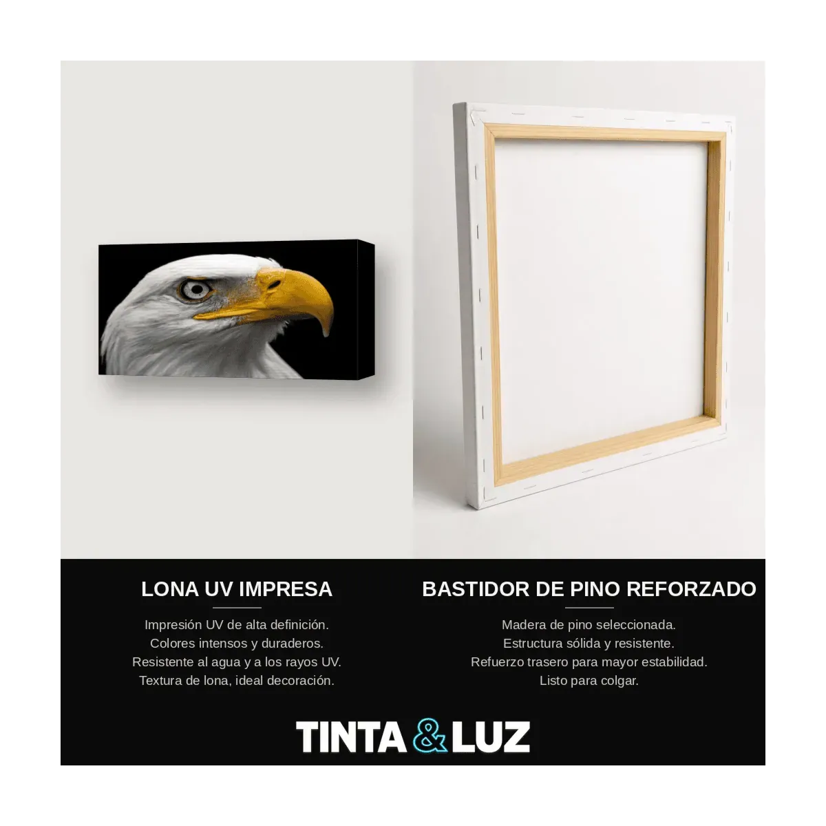 ÁGUILA CALVA VI