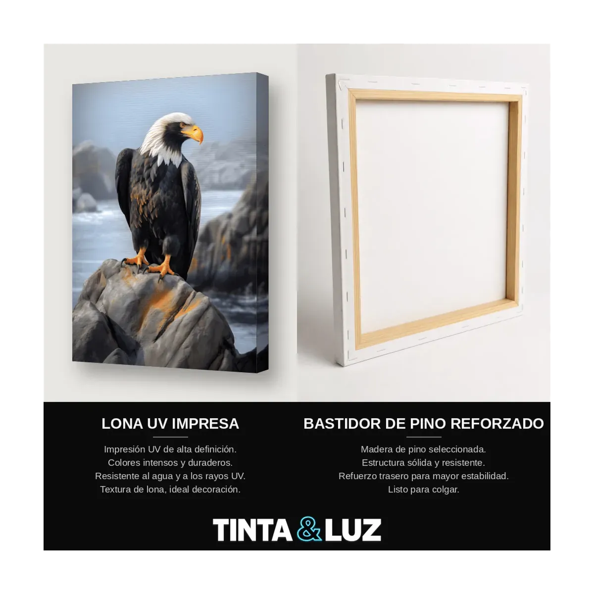 ÁGUILA EN LA ROCA