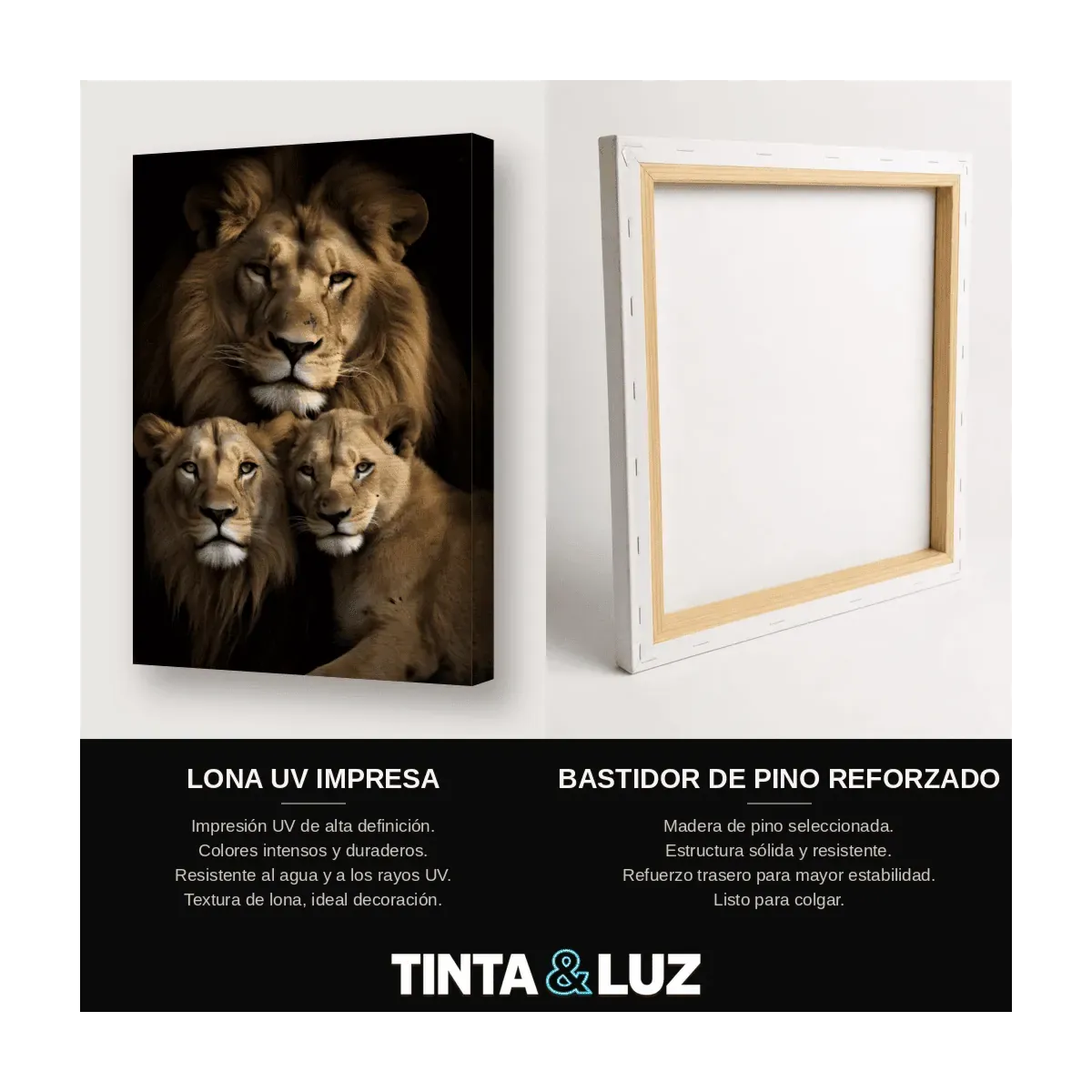 FAMILIA DE LEONES