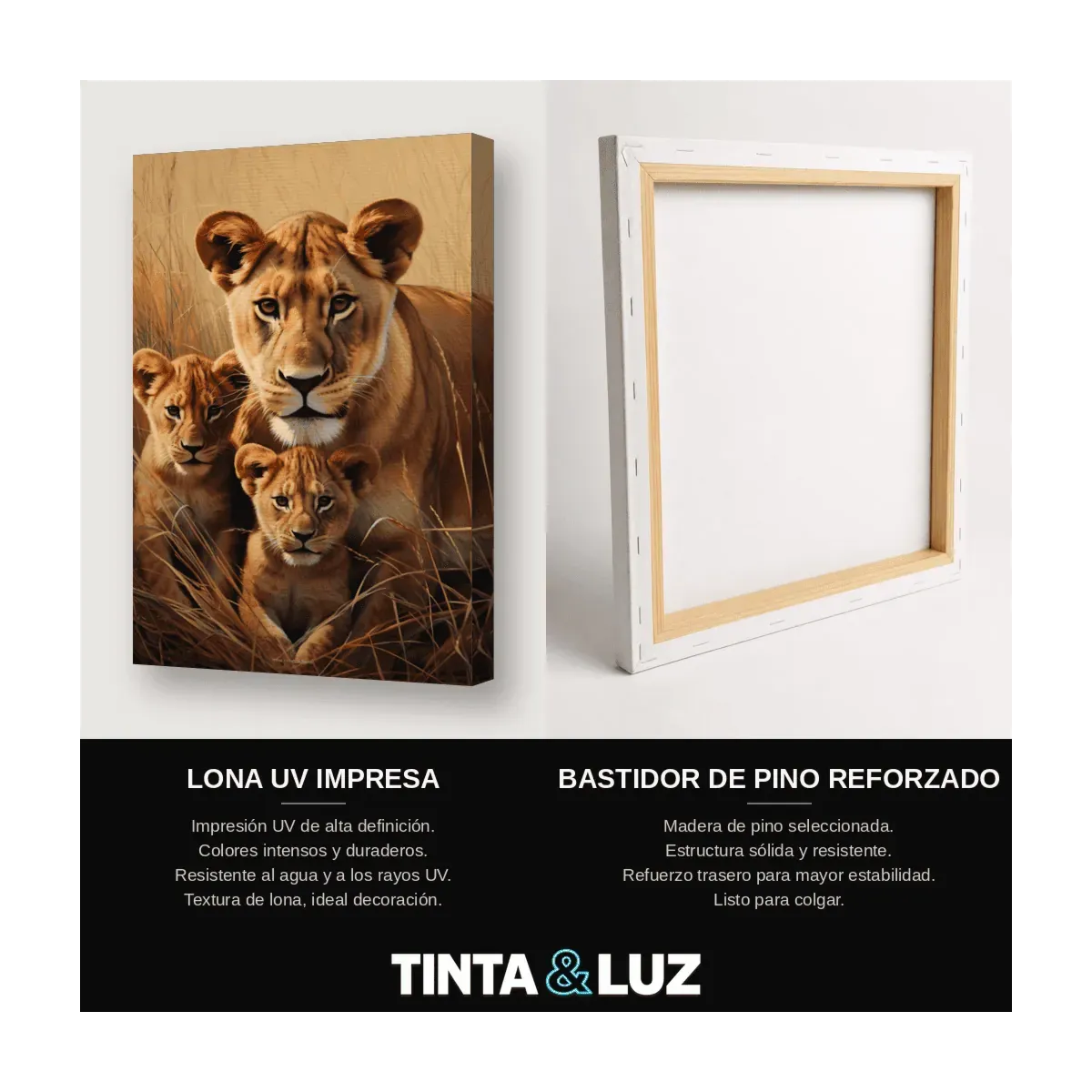 MANADA DE LEONES