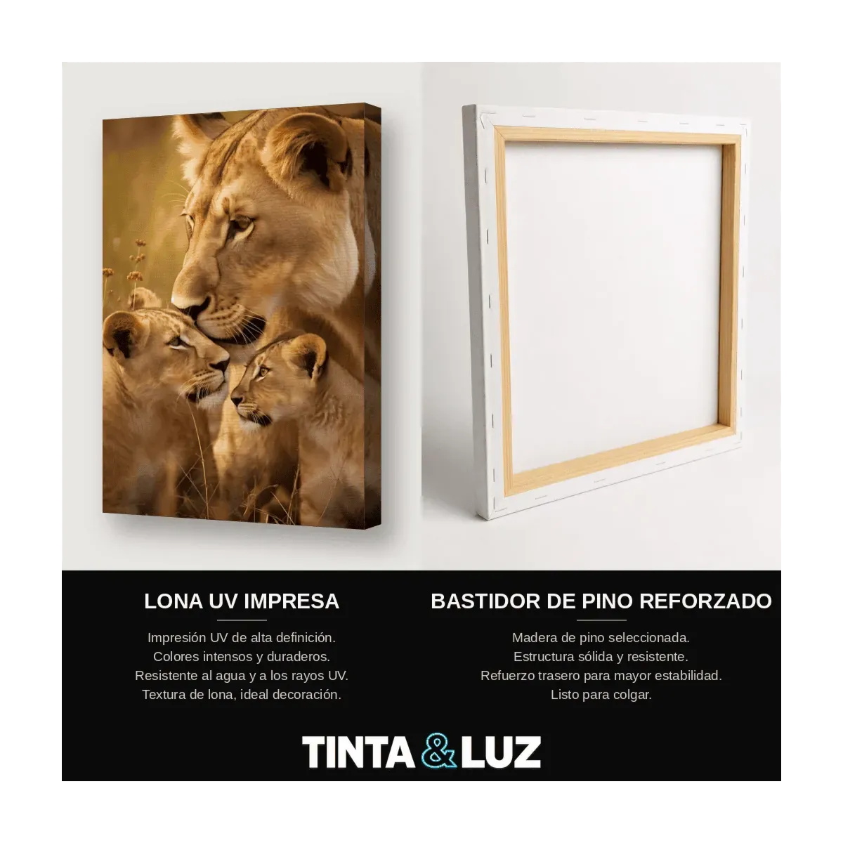 PAREJA DE LEONES