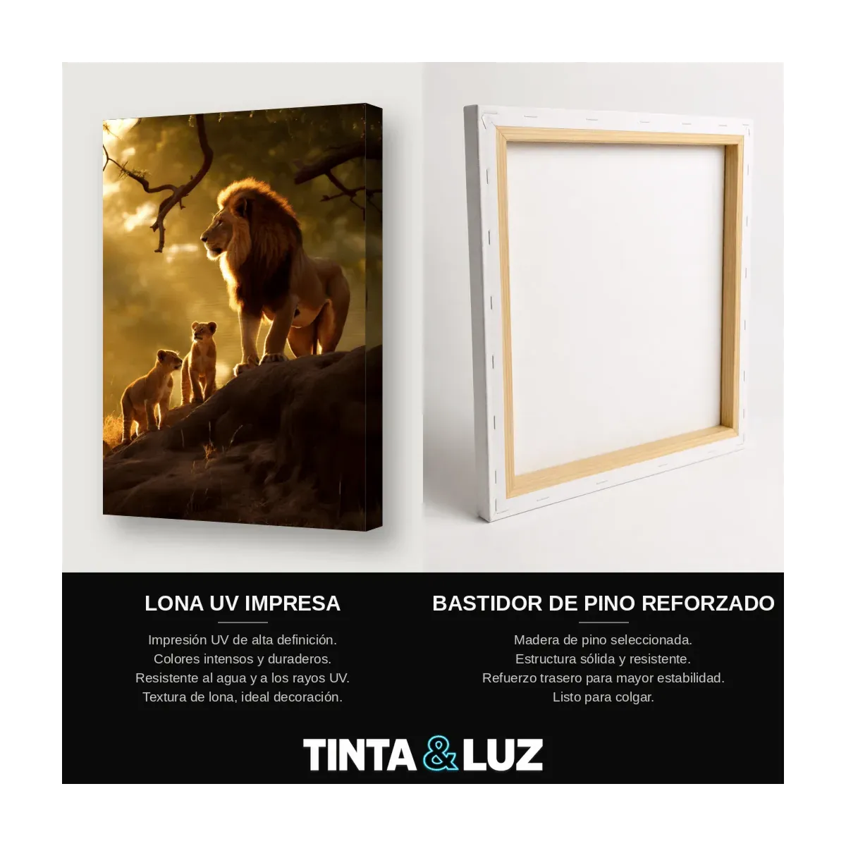 LEÓN EN LA ROCA