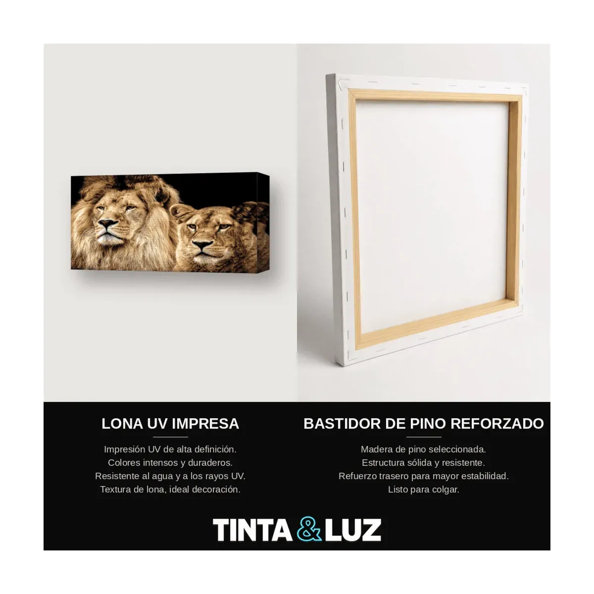 LEONES EN LA HIERBA
