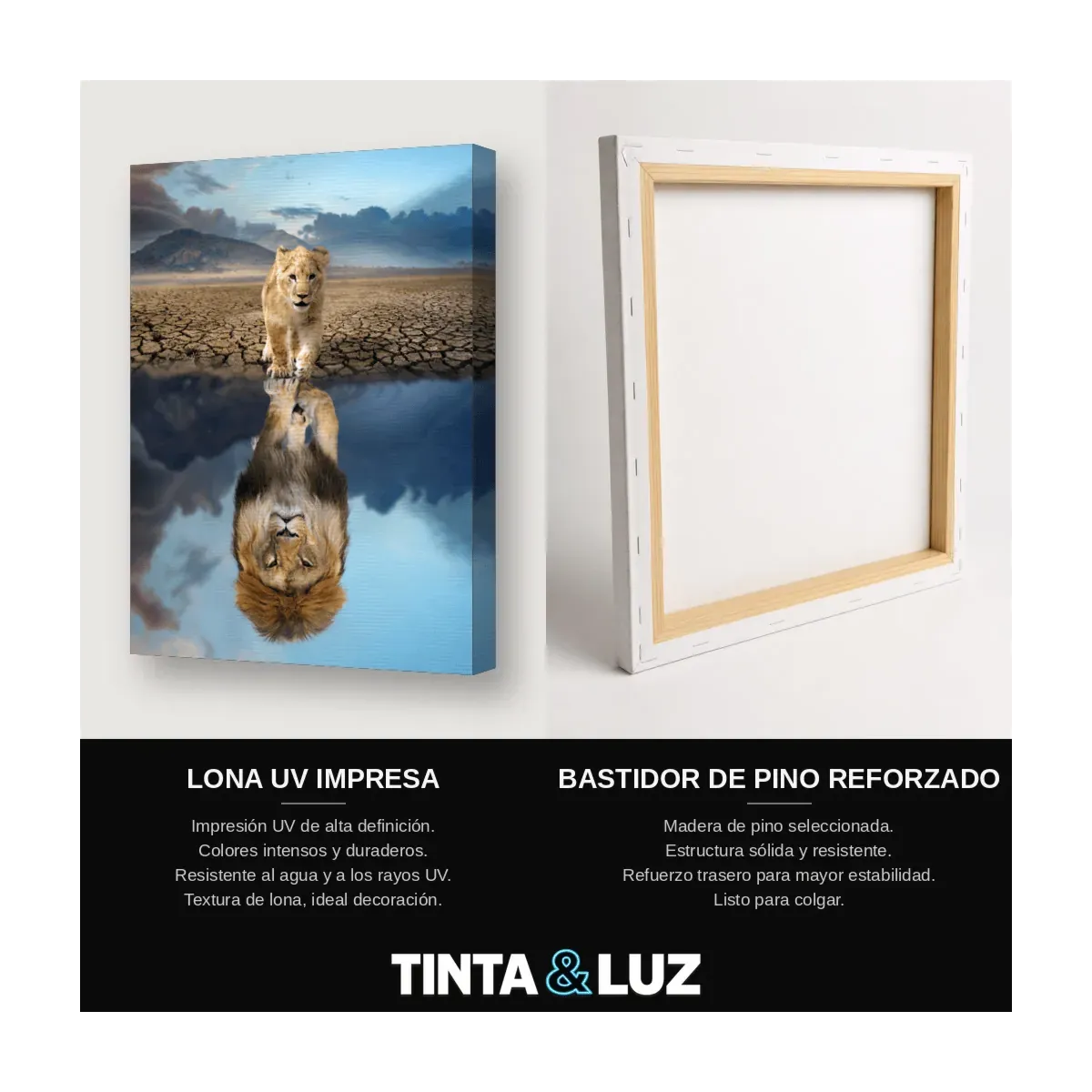 LEÓN Y REFLEJO