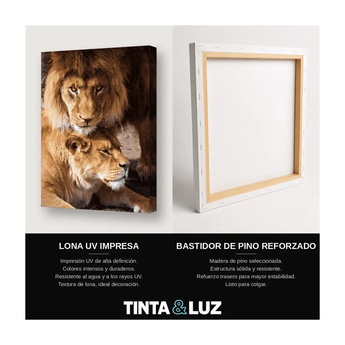 PAREJA DE LEONES II