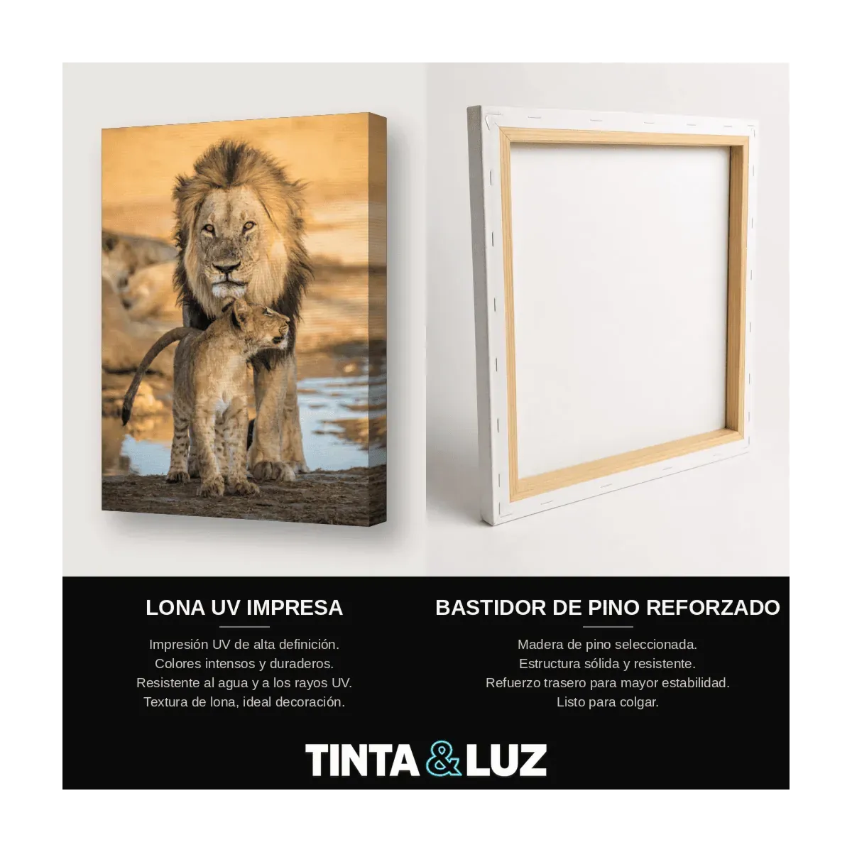 LEÓN PINTURA