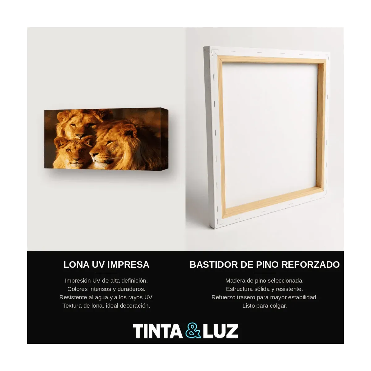 PAREJA DE LEONES III