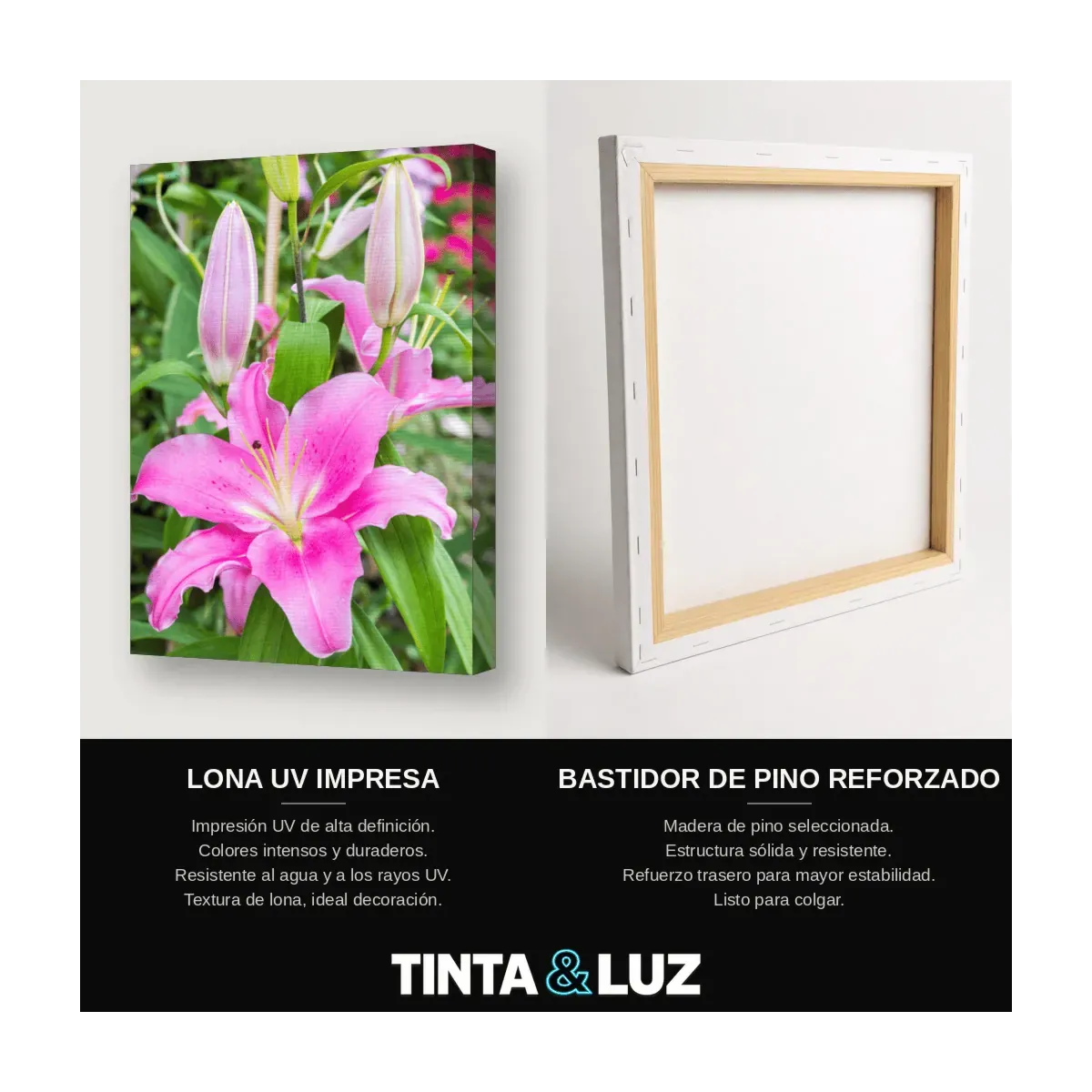 LIRIO ROSA
