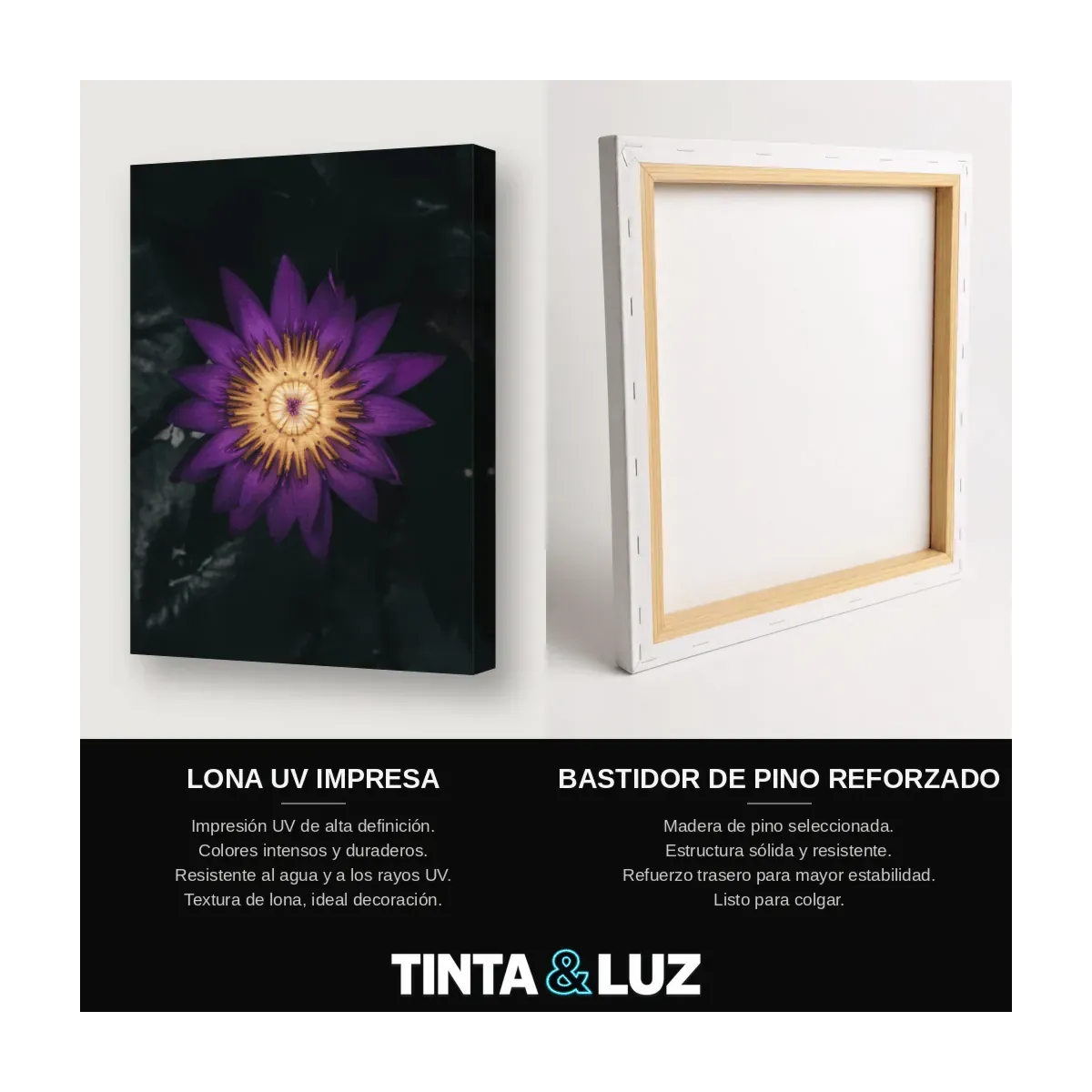 FLOR DE LOTO VIOLETA