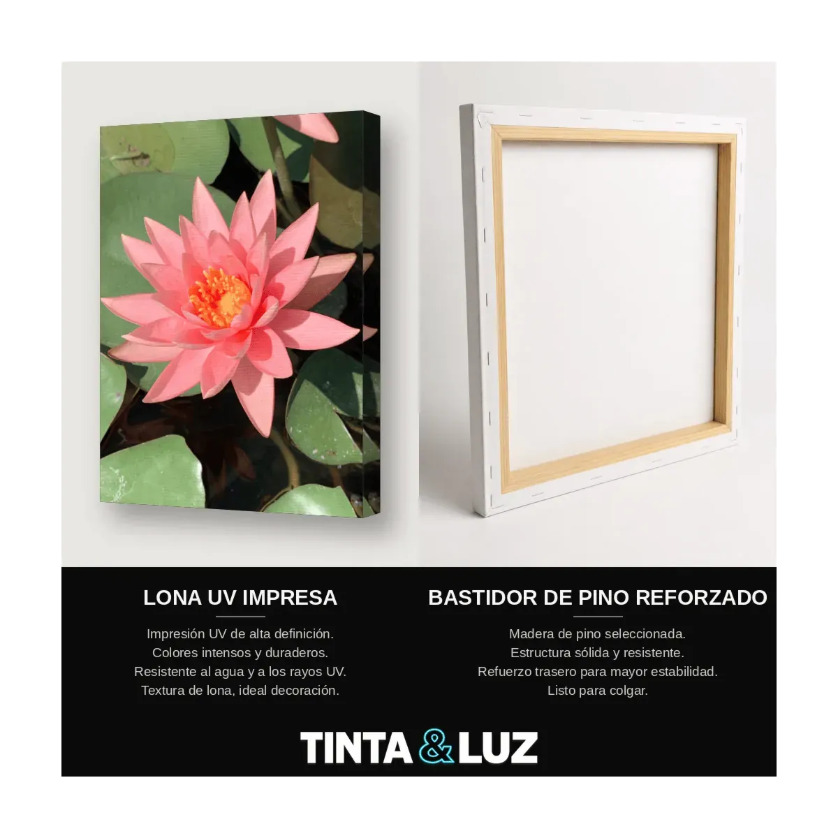 FLOR DE LOTO ROSA