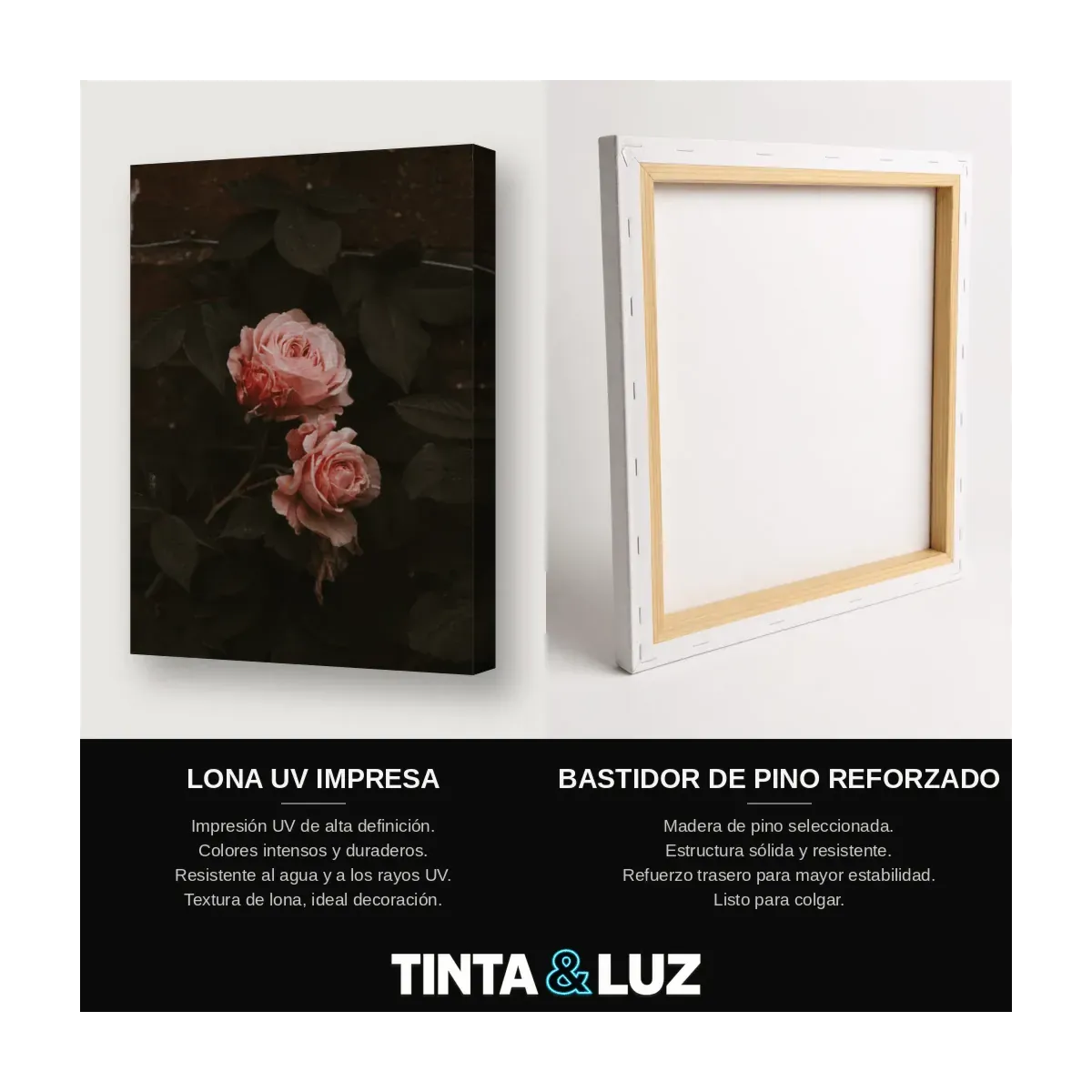 ROSA EN LA SOMBRA