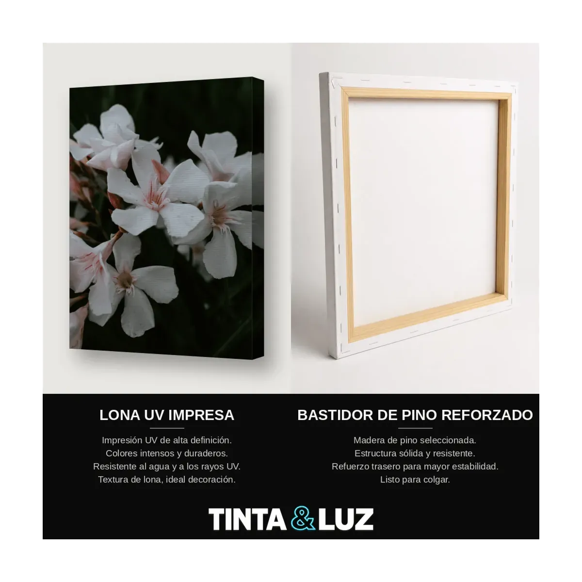 FLORES BLANCAS