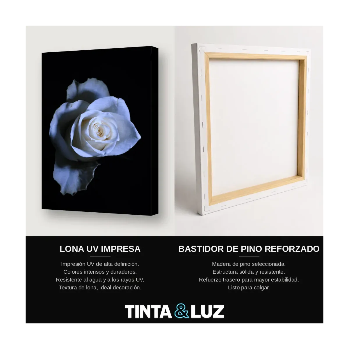 ROSA AZUL
