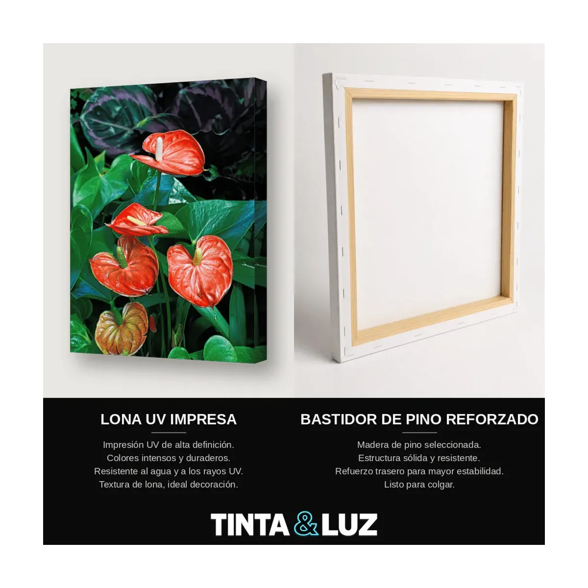 ANTURIOS ROJOS