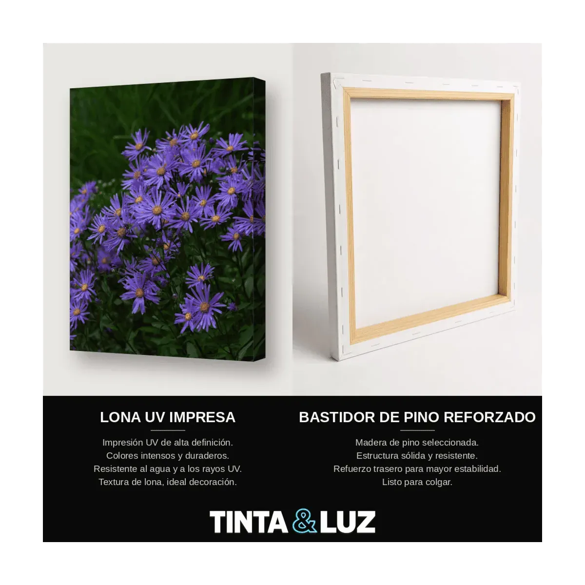 FLORES VIOLETAS