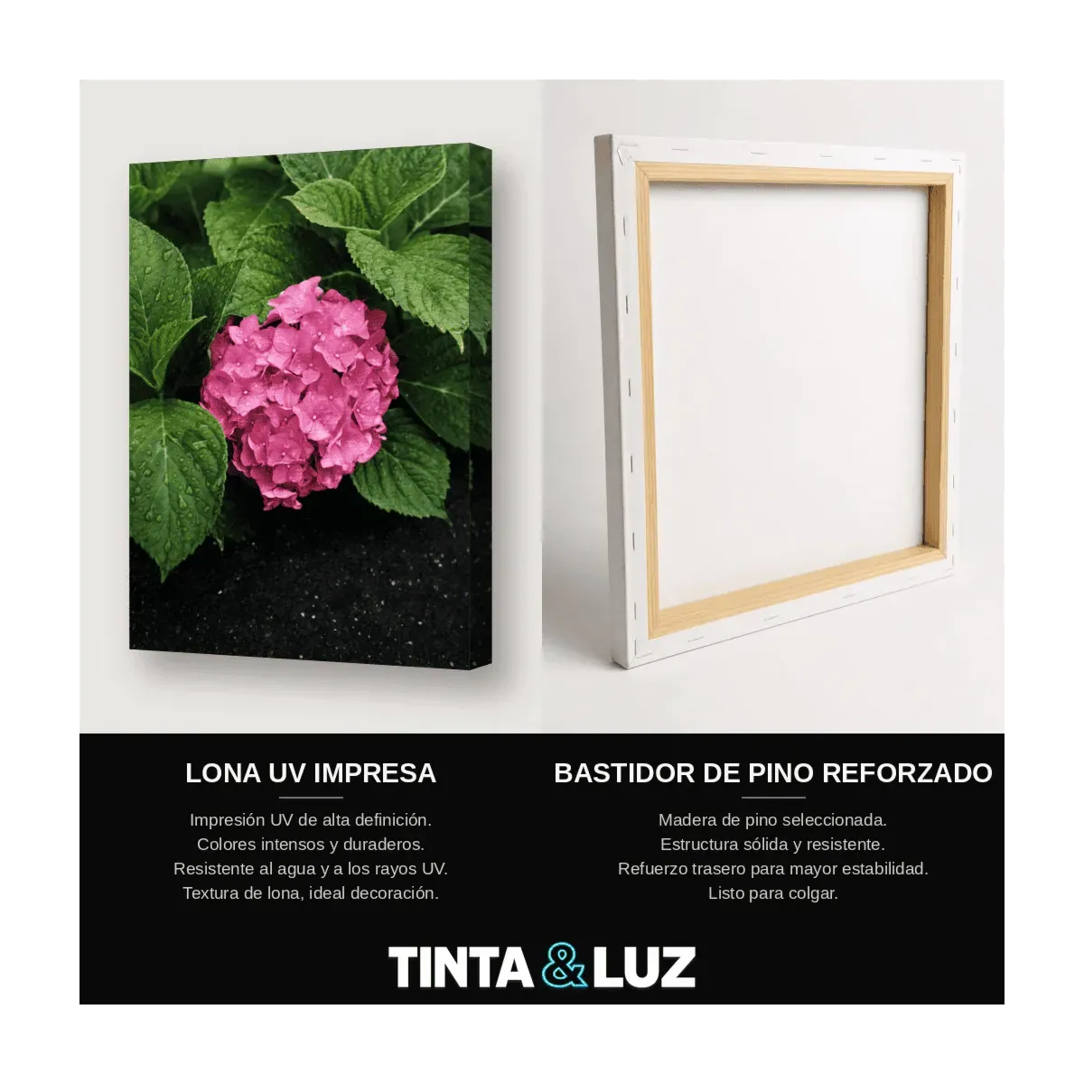 PEONÍA ROSA