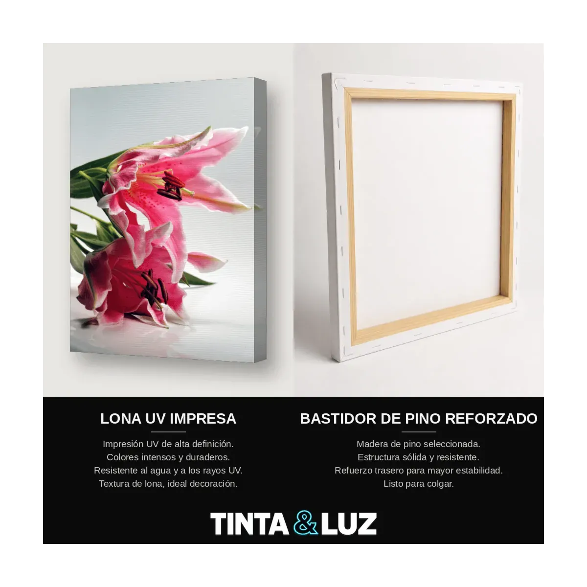 LIRIO ROSA