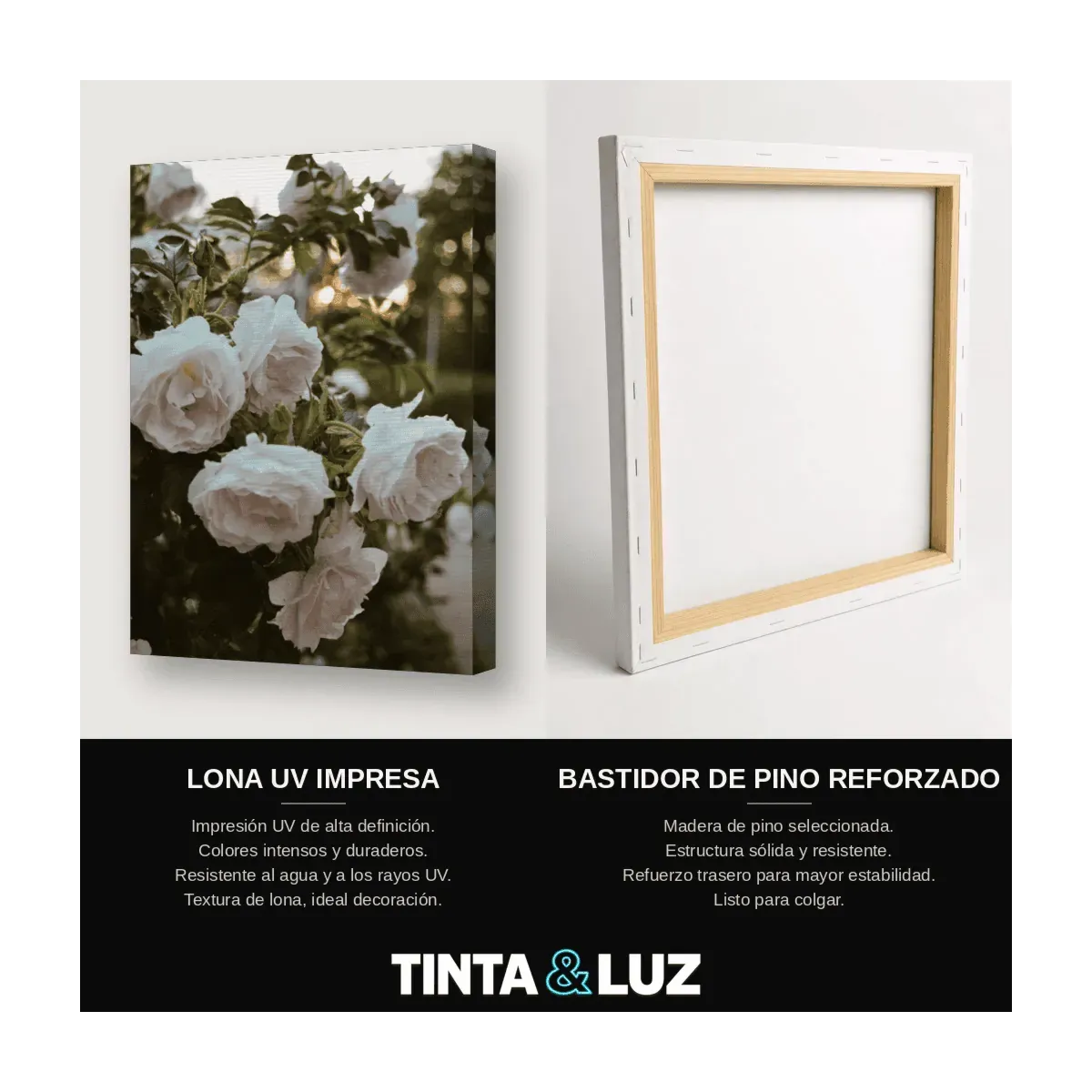 ROSAS PASTEL