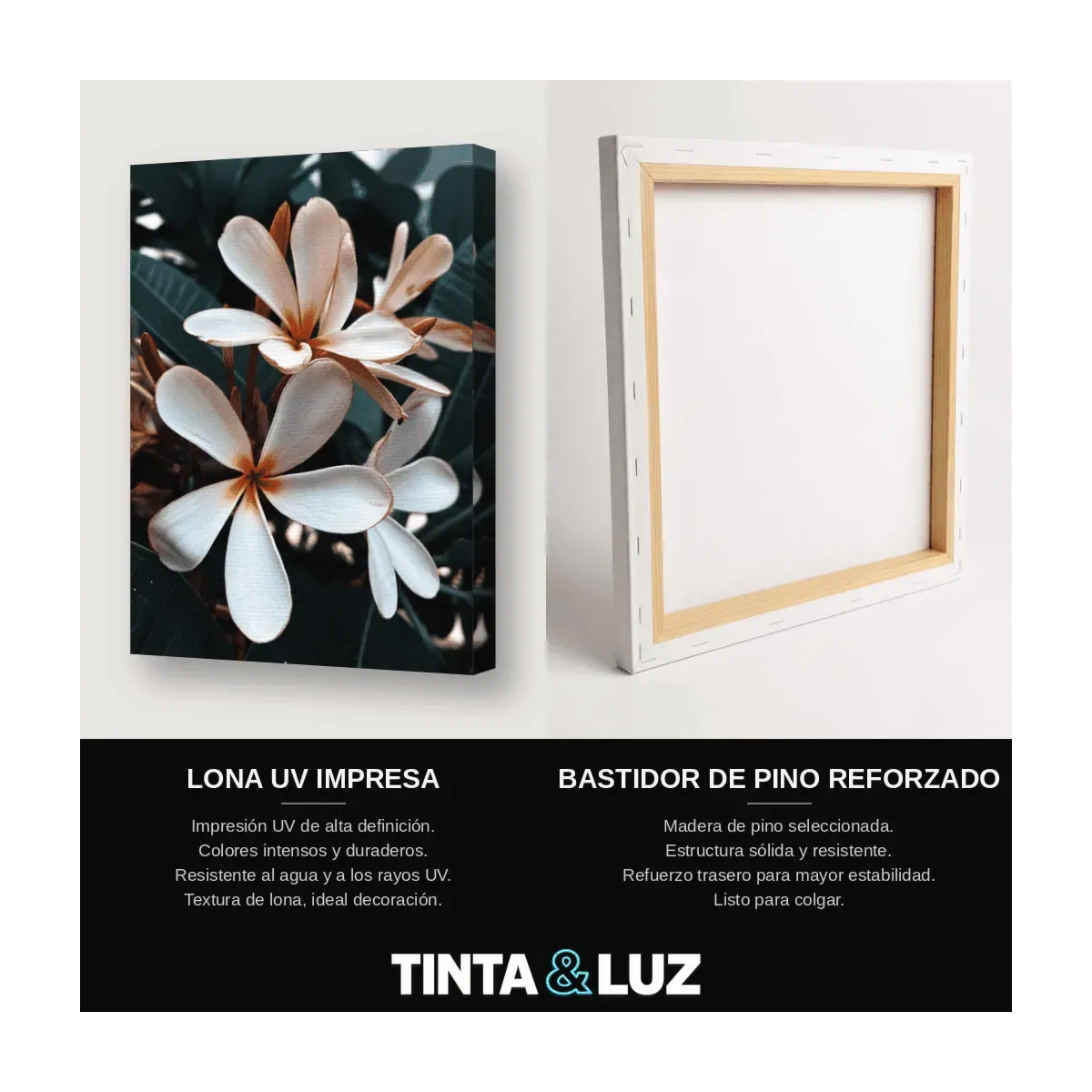 FRANGIPANI