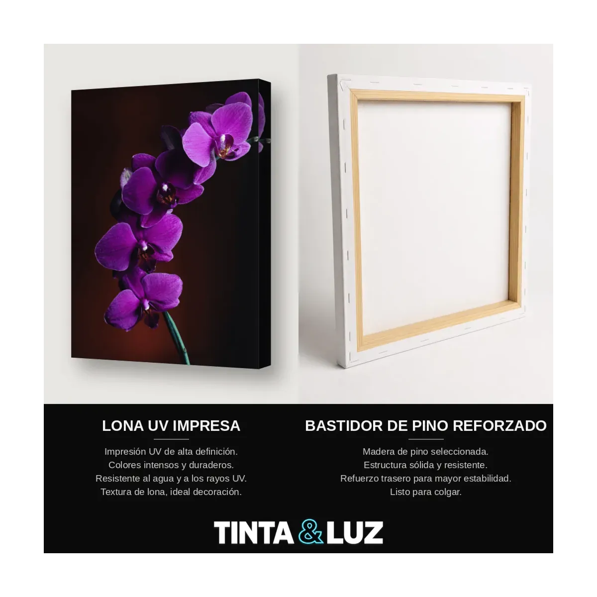 ORQUÍDEA VIOLETA