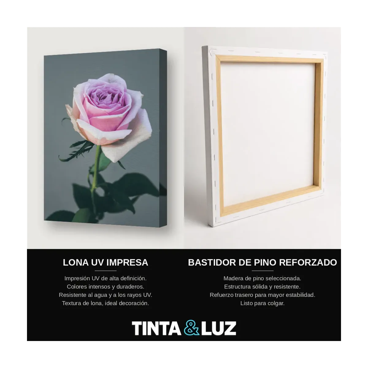 ROSA LILA