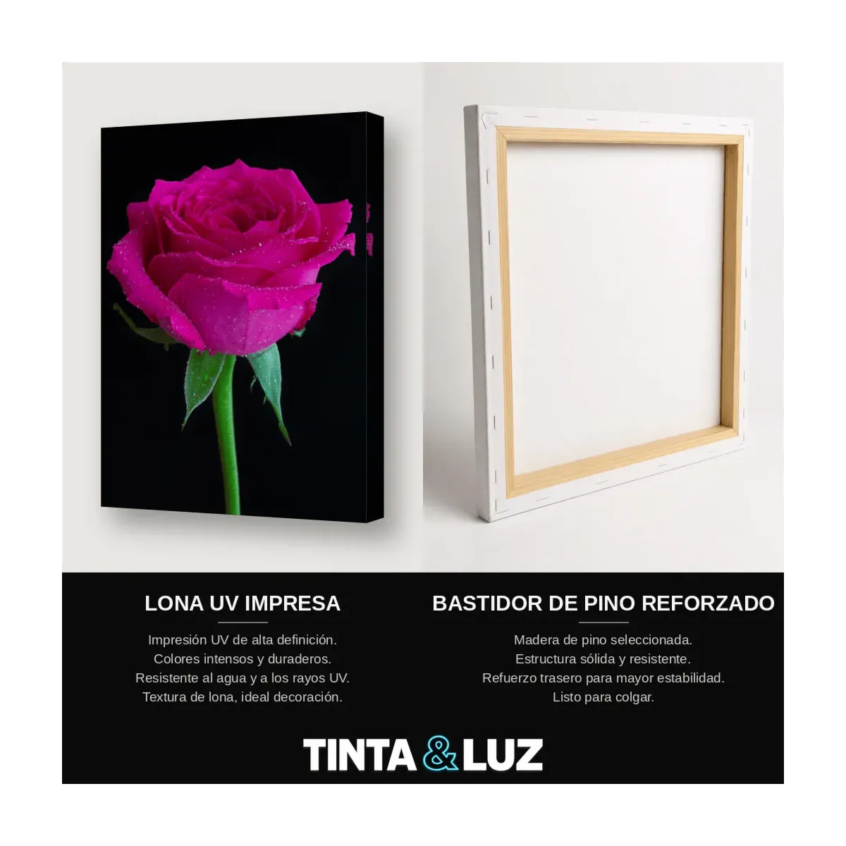 ROSA FUCSIA