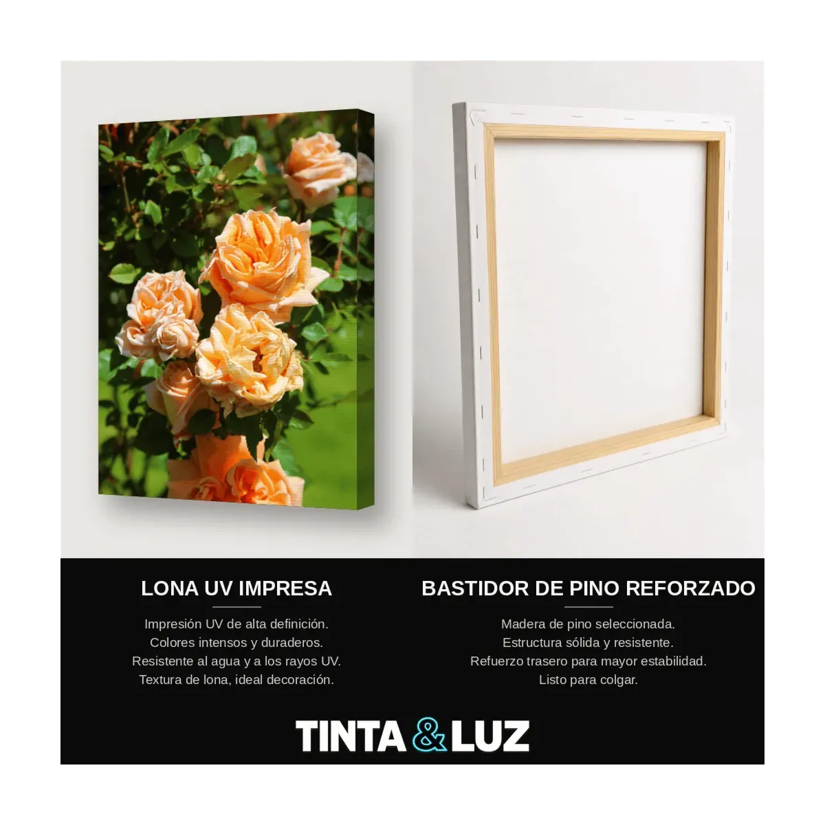 ROSAS DURAZNO