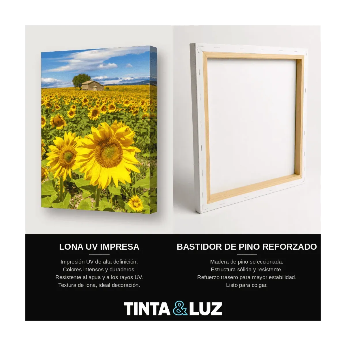 CAMPO DE GIRASOLES