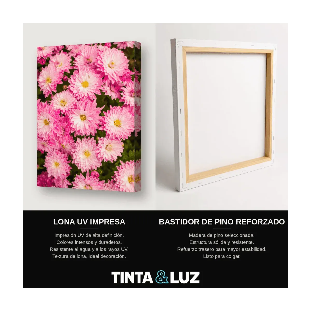 CRISANTEMOS ROSADOS