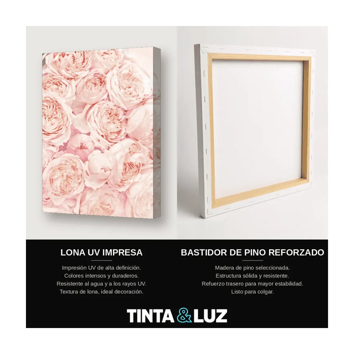 ROSAS PASTEL II