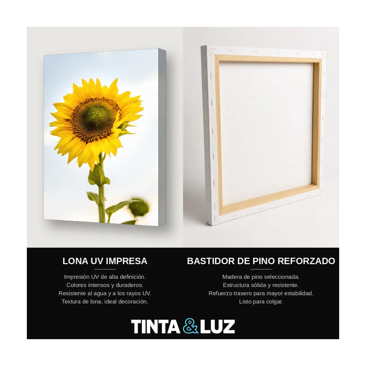 GIRASOL