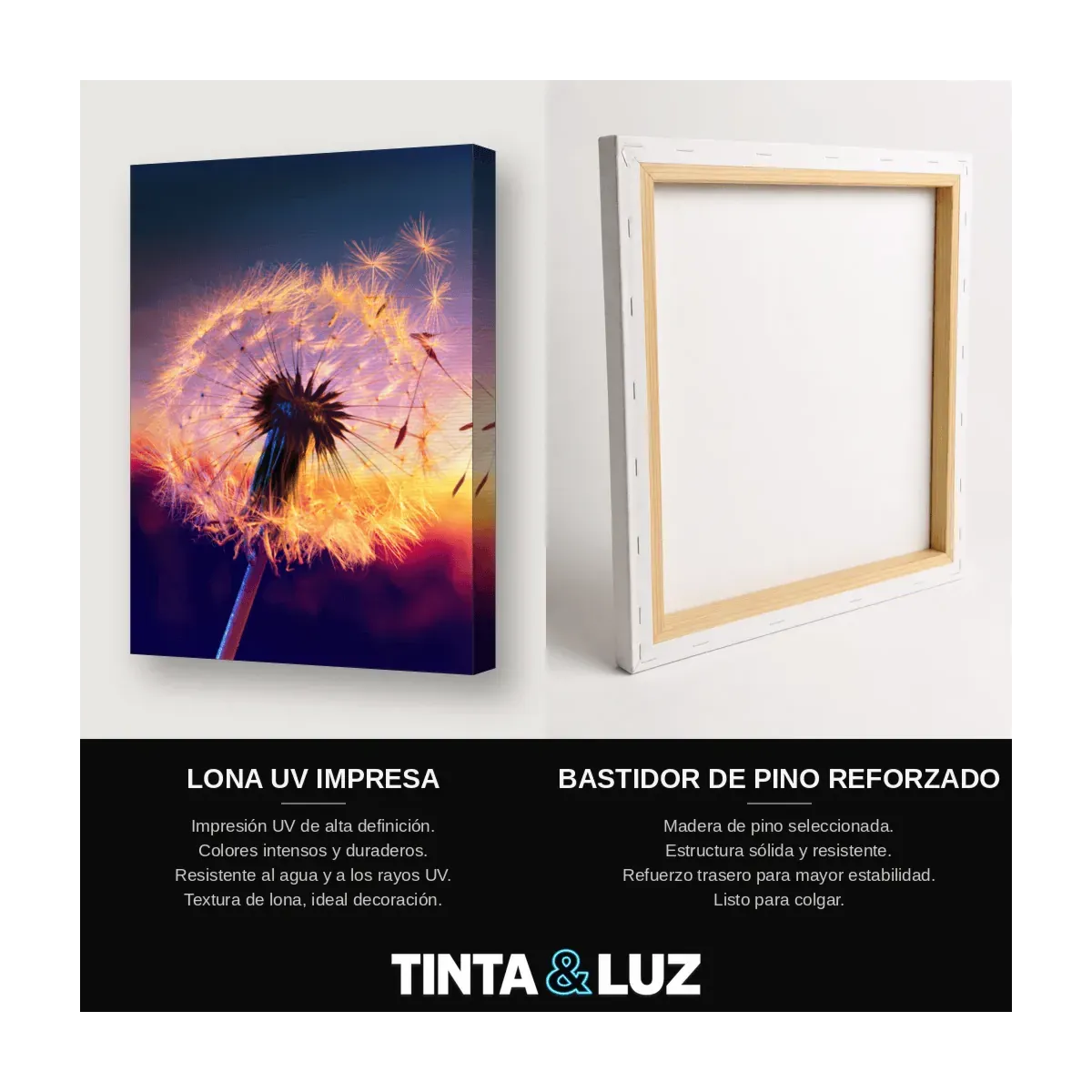 DIENTE DE LEÓN AL ATARDECER