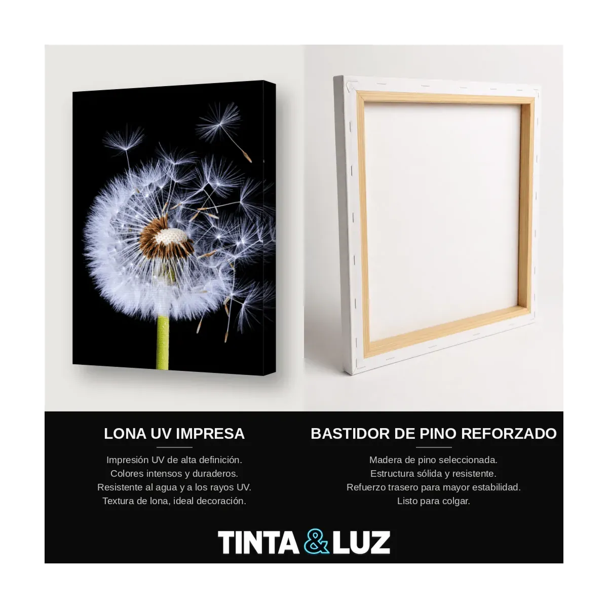 DIENTE DE LEÓN B&N