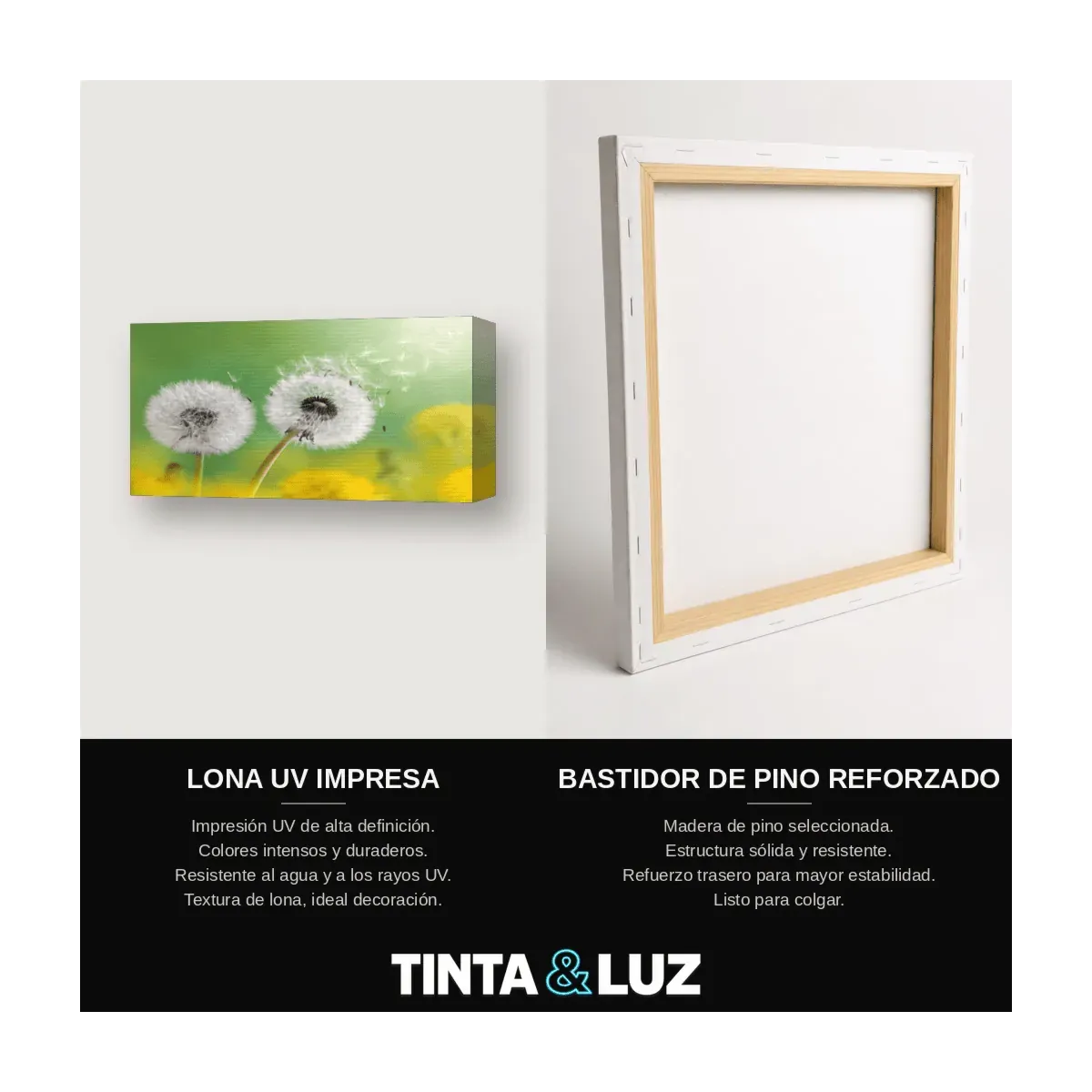 DIENTES DE LEÓN