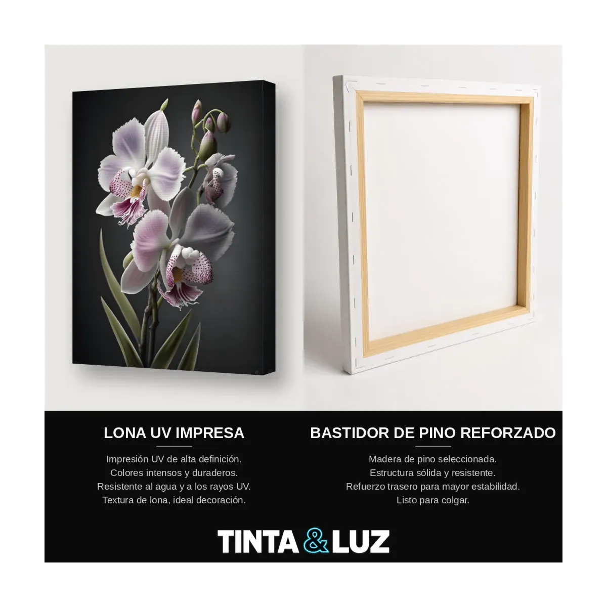 ORQUÍDEA LILA
