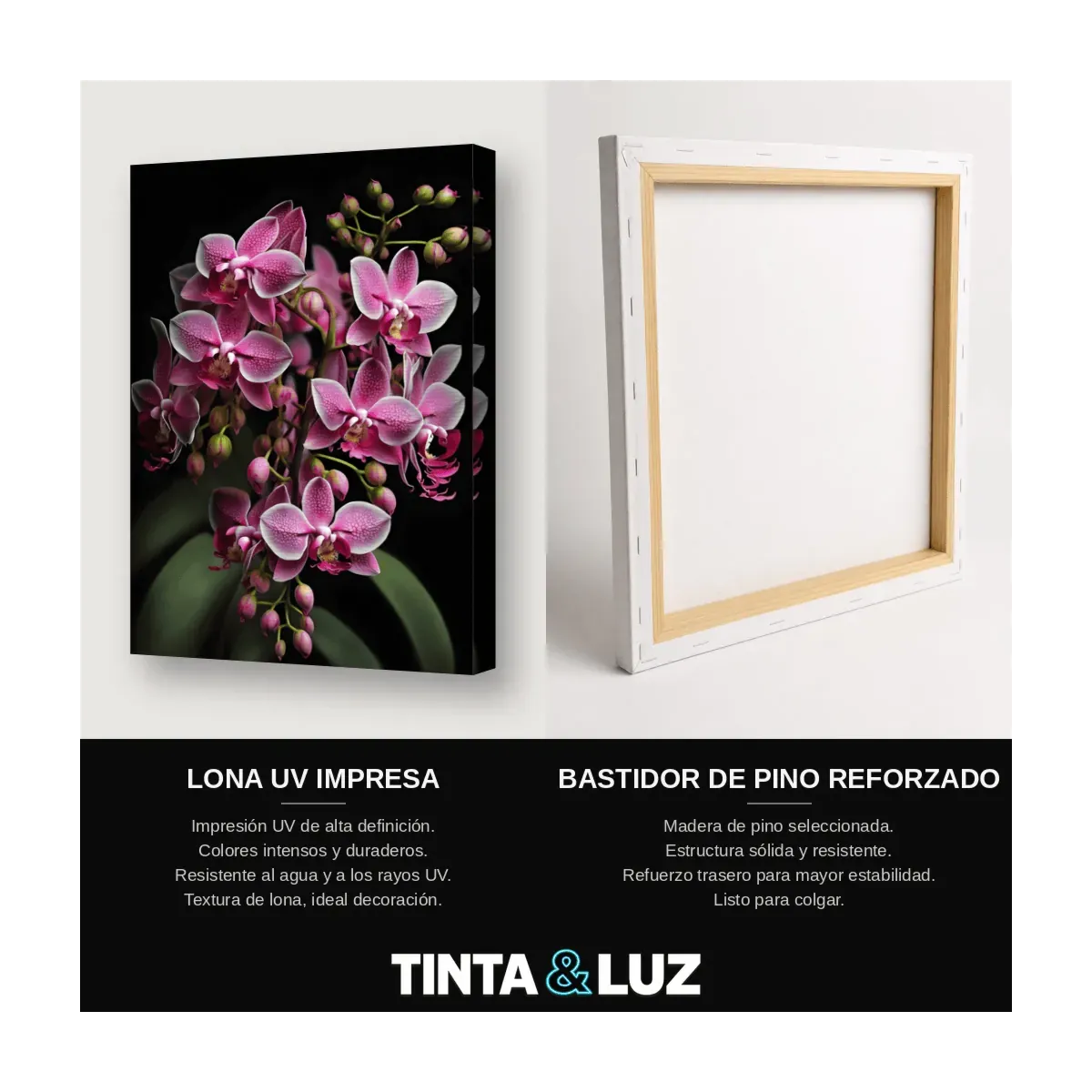 ORQUÍDEAS ROSADAS