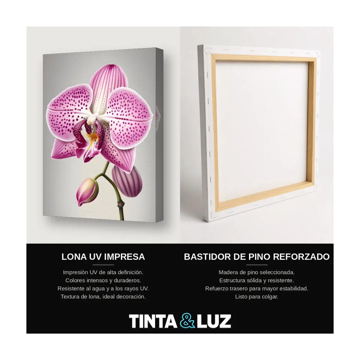 ORQUÍDEA ROSA
