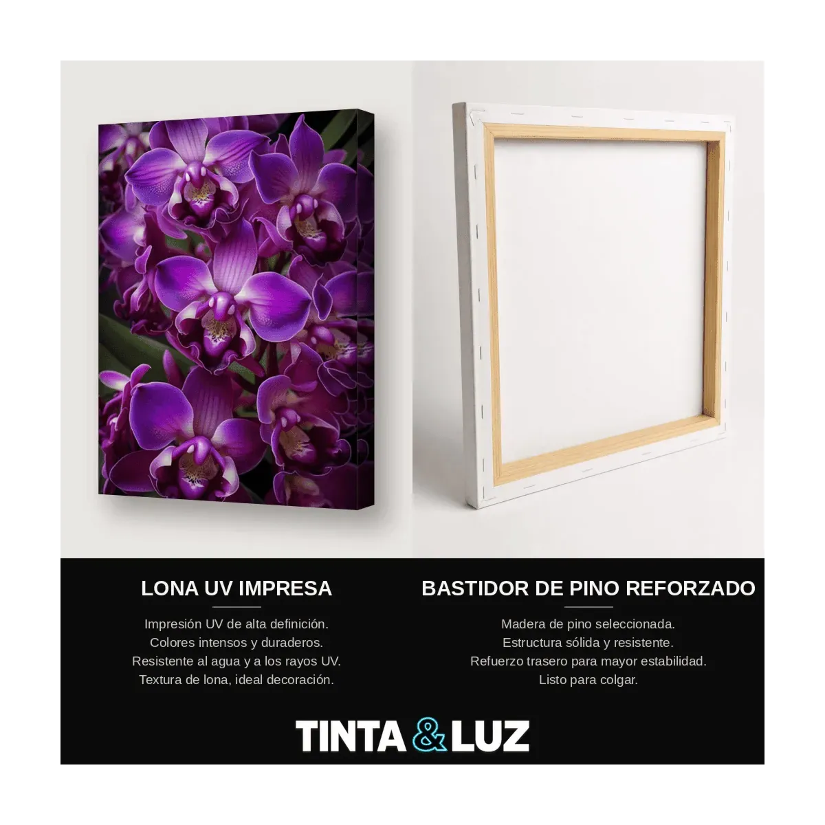 ORQUÍDEAS VIOLETAS
