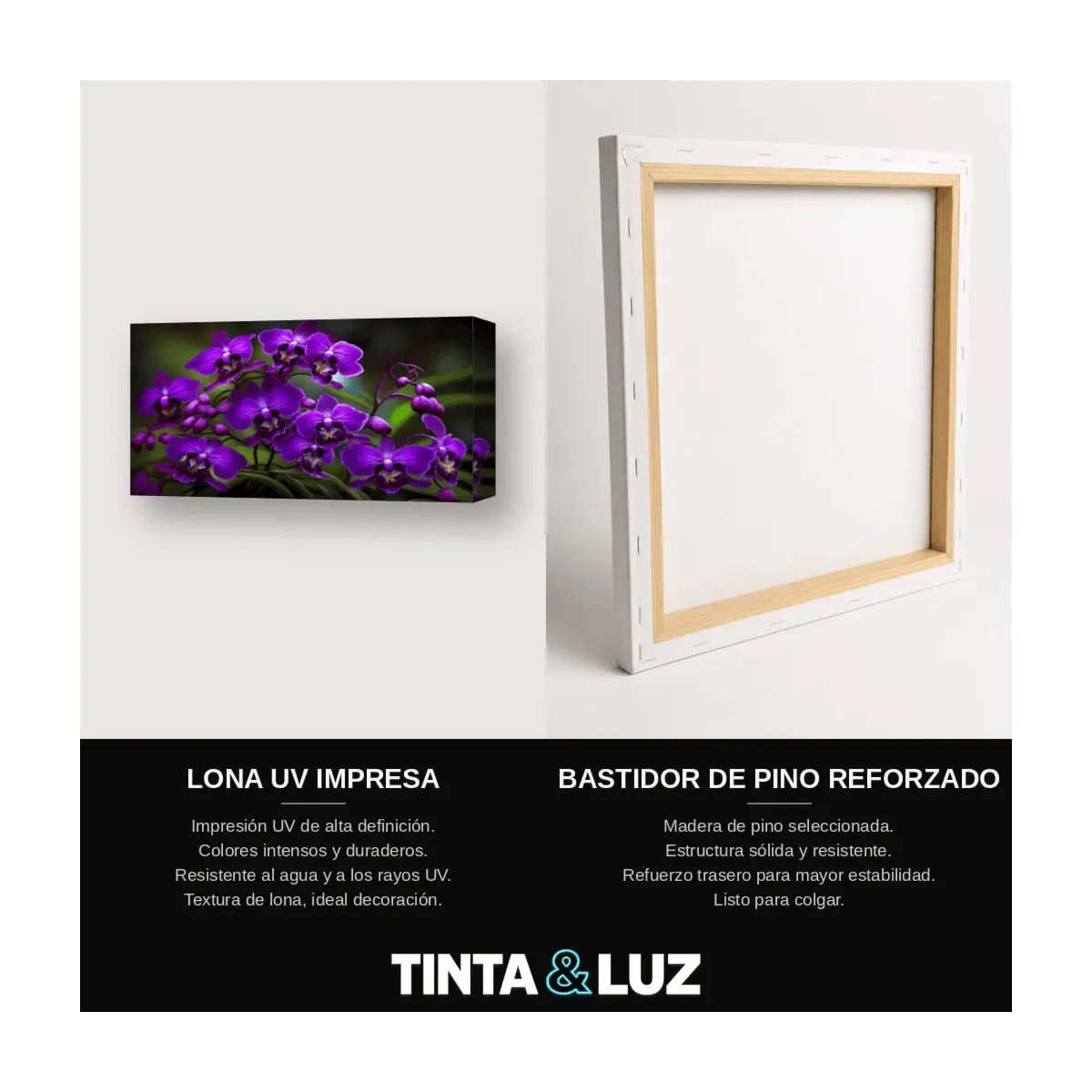 ORQUÍDEAS VIOLETAS II