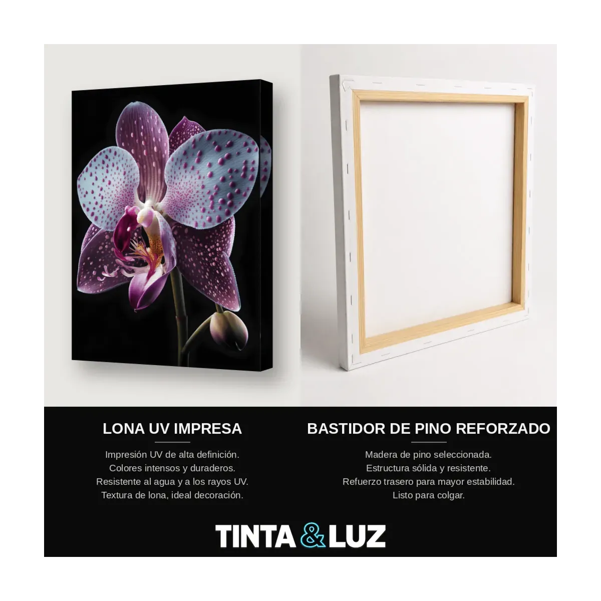 ORQUÍDEA MOTEADA