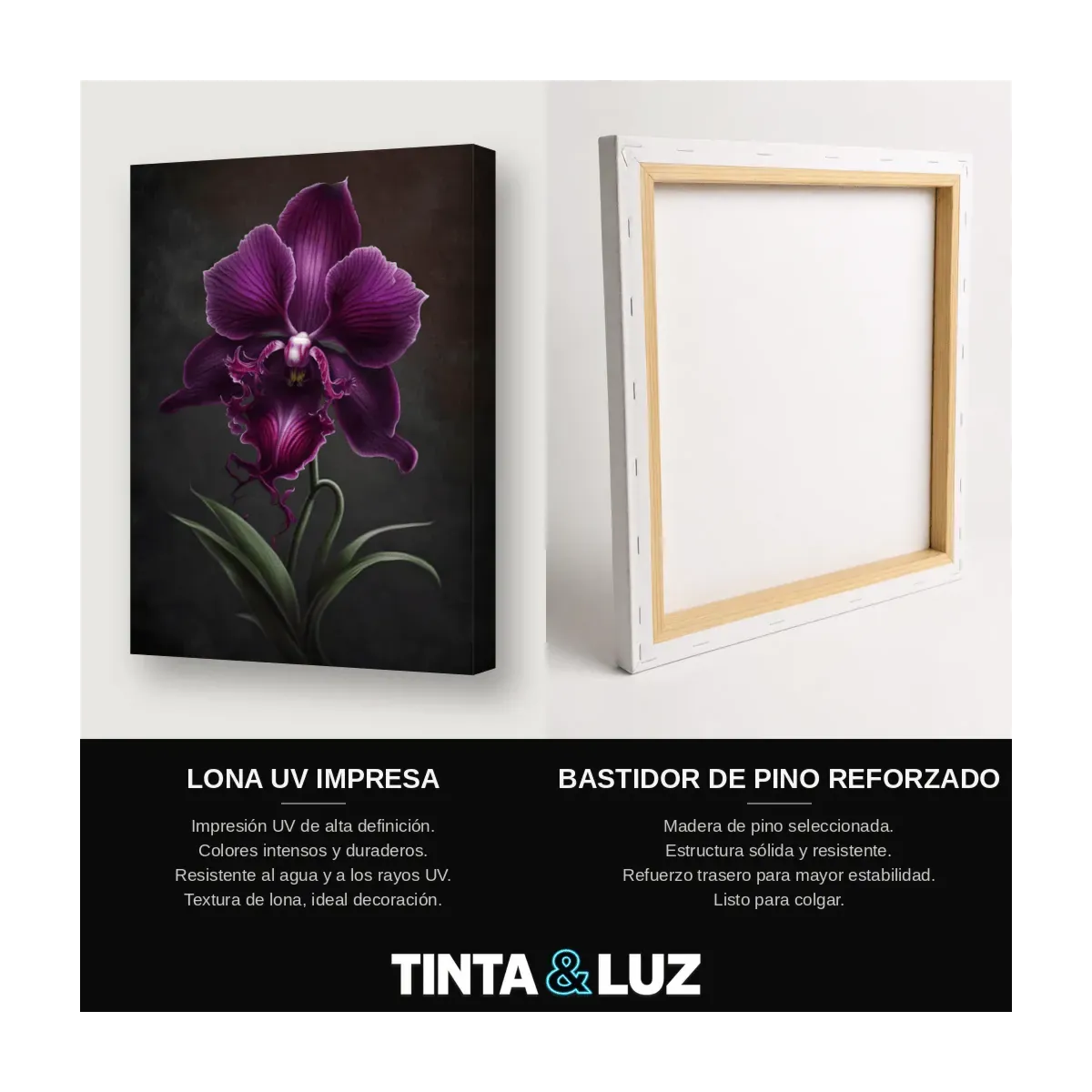 ORQUÍDEA VIOLETA II