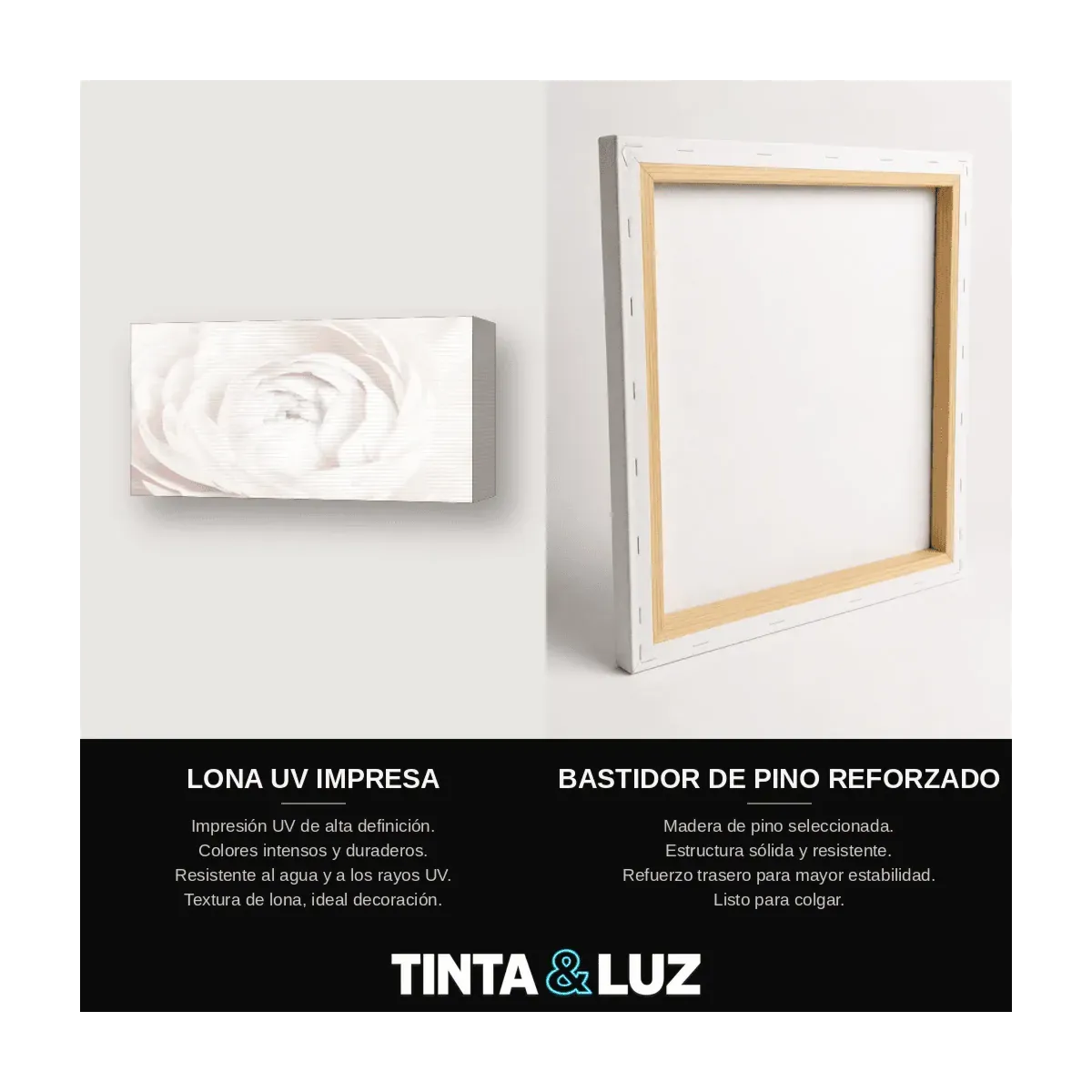 ROSA BLANCA III